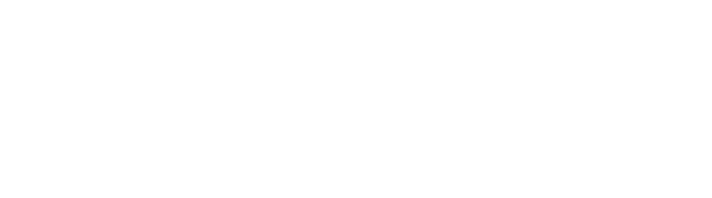 BitCortex Logo